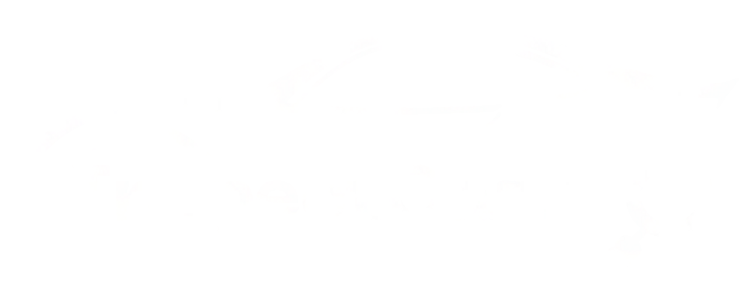 Inspect Car Pro
